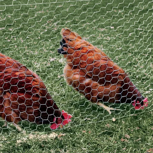 Miniatura 8 de Red para aves de corral de 18 pulgadas x 50 pies