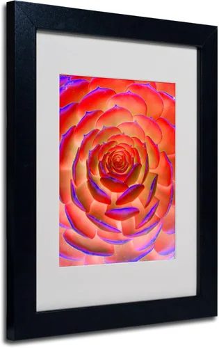 Trademark Fine Art Arte de plantas en arte enmarcado mate por Patty Tuggle en marco negro, 11 x 14 pulgadas