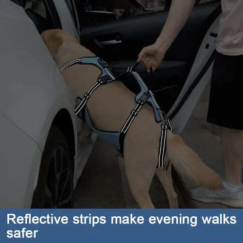 Miniatura 7 de Arnés de elevación para perros Coodeo, soporte completo del cuerpo y correa de recuperación, chaleco de elevación para rehabilitación de mascotas