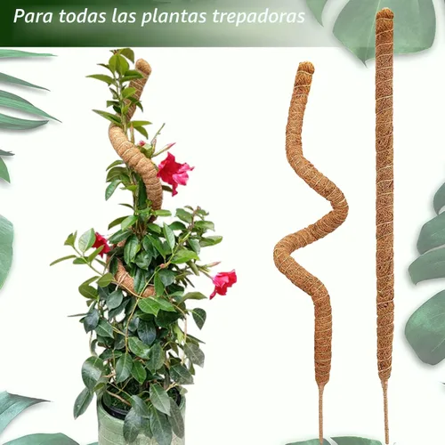 Miniatura 4 de Paquete de 2 postes de musgo, poste de musgo flexible de 28 pulgadas para plantas Monstera, postes de musgo para plantas trepadoras de interior, 2 x