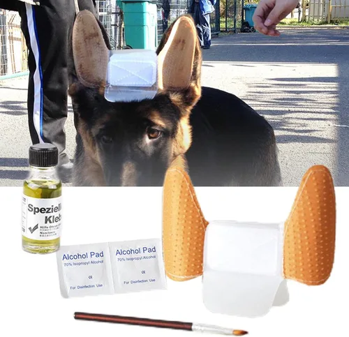 Miniatura 5 de MagiDeal 1 juego de calcomanías para orejas de cachorro, corrector de oído, kit de herramientas para el cuidado de los oídos, soporte para orejas