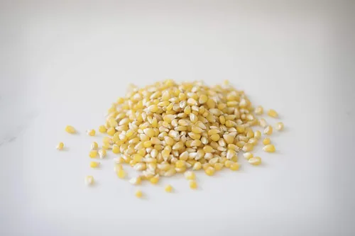 Miniatura 2 de Amish Country Popcorn Bolsa de 1 libra Granos de palomitas de maíz Ladyfinger A la antigua, sin OGM y sin gluten
