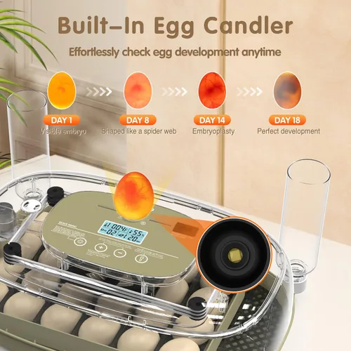 Miniatura 5 de Incubadoras para incubar huevos Incubador de huevos de pollo Visualización de huevos 360° para pollo, patos, gansos, palomas, codornices 24 huevos