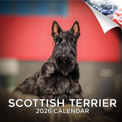 Miniatura 130 de Calendario 2025 2026 de cachorros Cocker Spaniel - Calendario mensual de pared de raza de perro - 12" x 24" abierto - Papel grueso sin sangrado
