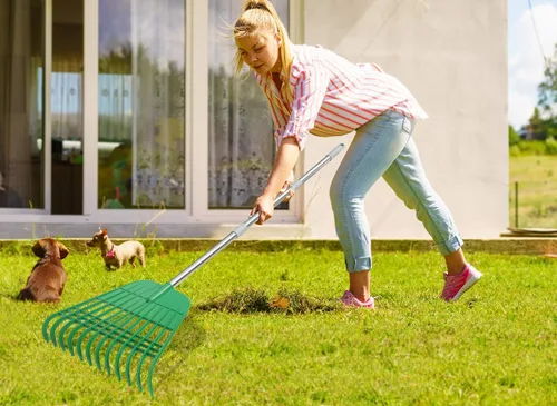 Miniatura 5 de Gardzen - Cucharilla de hojas (tamaño grande, 12 dientes, para jardinería) y juego de rastrillos de hojas de jardín, incluye bolsa de jardín de 72
