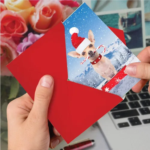 Miniatura 6 de The Best Card Company - Tarjeta de felicitación de Feliz Navidad con sobre (4.63 x 6.75 pulgadas) - Canine Antics C3194GXSG
