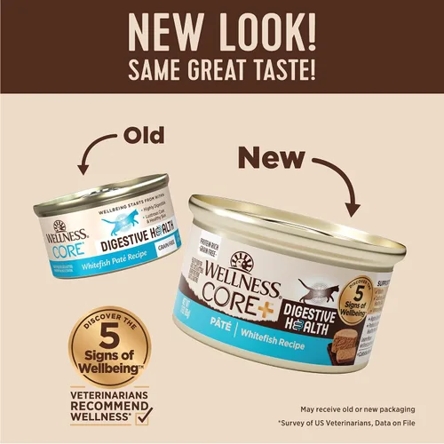 Miniatura 2 de Wellness CORE+ Digestive Health Pate Alimento húmedo enlatado en paté para adultos, natural, rico en proteínas, sin granos, receta de pescado