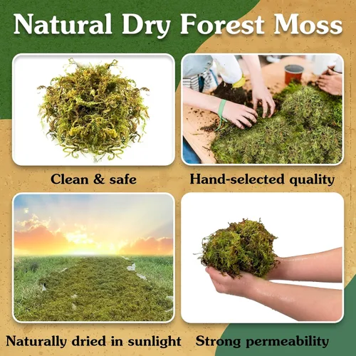 Miniatura 3 de Musgo natural para plantas de interior, musgo seco para plantas en maceta, musgo de orquídea para trasplantar, musgo de bosque para mezcla