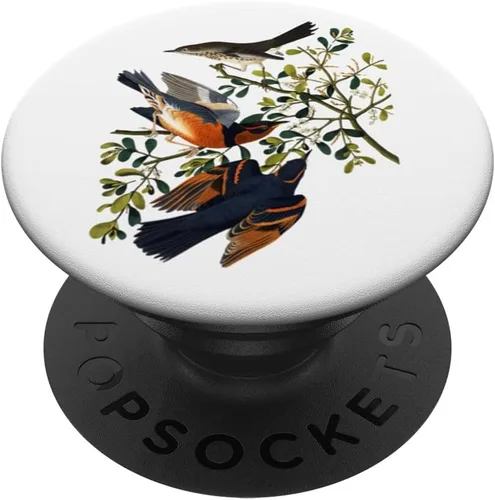 Miniatura 6 de PopSockets MagSafe PopGrip para iPhone de Mountain Mockingbird Varied Thrush Bird