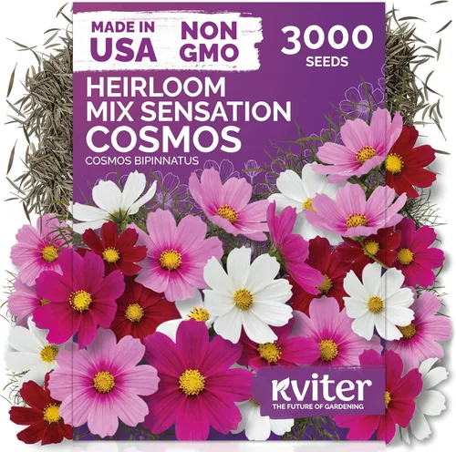 Miniatura 14 de KVITER 25 semillas de algodón blanco para plantar (Gossypium hirsutum) – Planta de algodón real, semillas de algodón para cultivo, semillas
