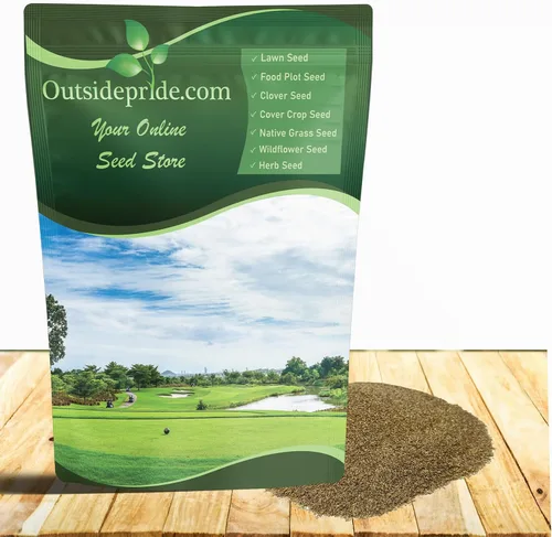 Outsidepride V8 - Semilla de césped rastrero – 1 libra de hoja fina, calidad premium, semillas de césped para superficie lisa y zonas de alto