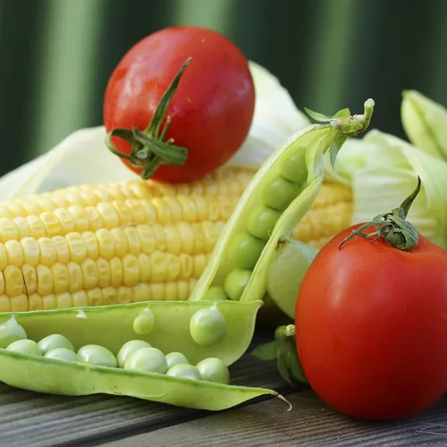 Miniatura 2 de Augason Farms Semillas de Jardín de Vegetales 13 Variedad 1 lb No. 10 Lata