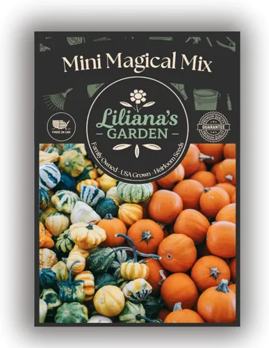 Miniatura 7 de Mini Magical Mix" - Semillas decorativas pequeñas de mezcla de calabaza y calabaza – Más de 10 pequeñas variedades decorativas de calabaza