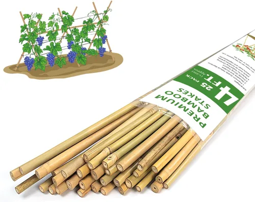 Estacas para plantas, estacas de bambú natural resistentes de 4 pies de largo, GAGINANG 25 piezas de varillas de bambú de soporte de enrejado para