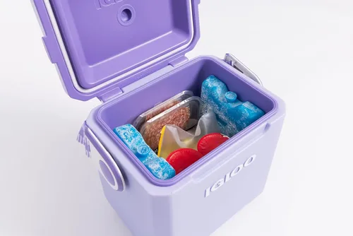 Miniatura 5 de Igloo Maxcold Ice Block