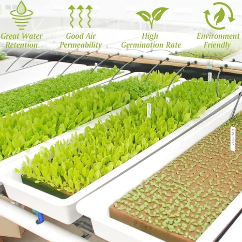 Miniatura 4 de Halatool Cubos de lana de roca de 2,5 cm para jardín, cubos de cultivo de lana mineral para hidropónicos, cultivo sin suelo, plántulas, esquejes