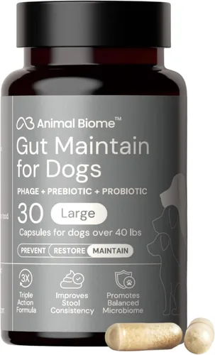 Miniatura 15 de AnimalBiome KittyBiome - Probióticos para gatos con S Boulardii (30 cápsulas) KittyBiome - Mantenimiento intestinal de triple acción fago