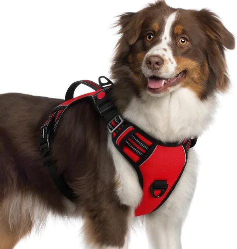 Miniatura 37 de rabbitgoo Arnés para perro de tamaño pequeño, arnés para mascotas sin tirones con mango acolchado suave, chaleco reflectante ajustable con 3