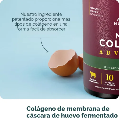 Miniatura 8 de Ancient Nutrition Péptidos de colágeno hidrolizados avanzados, proteína en polvo magra con probióticos y vitamina C, canela, para mujeres y hombres