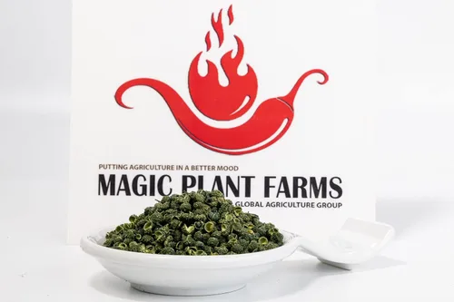 Miniatura 2 de Fiery Farms Green Japanese Sancho Peppercorn Pods – 2.2 lbs a granel – Pimientos enteros secos Emocionante especia cítrica hormigueo en la boca