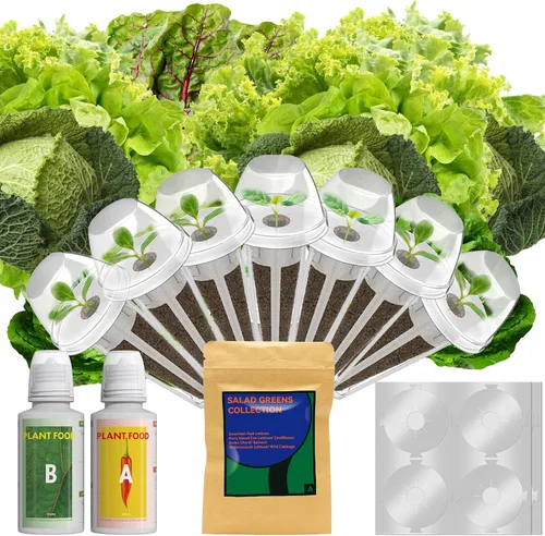 Miniatura 9 de LYKOCLEAN Vainas de semillas de flores para Ahopegarden, sistema de cultivo hidropónico iDOO MUFGA para jardinería interior, más de 400 semillas