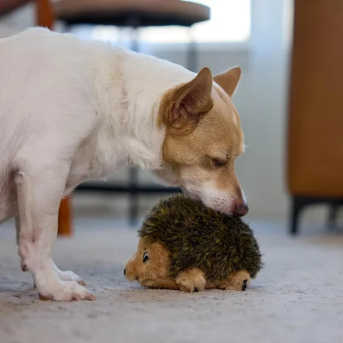 Miniatura 5 de Outward Hound - Juguete de peluche Hedgehogz para perro, tamaño S
