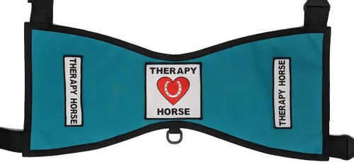 Miniatura 4 de Chaleco terapéutico para caballo #1 – Deluxe (tamaño 1 (altura 18"-24" en cruz) W, negro)