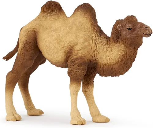 Papo - Figura realista de camello bactriano para niños - A partir de 3 años - Colección Wild Life - Animales exóticos educativos - Juguete de idea