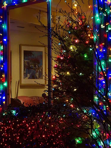 Miniatura 7 de Twinkle Star Luces de Navidad para Exteriores a Batería 50 LED Mini Cadena de Luces con 8 Modos, 16 pies Luces de Hadas Impermeables para Jardín