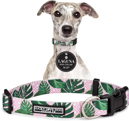 Miniatura 37 de Lucky Love Dog - Collar para perras pequeñas, diseño Blackbird de estampado alegre con flores de primavera y verano, talla XS