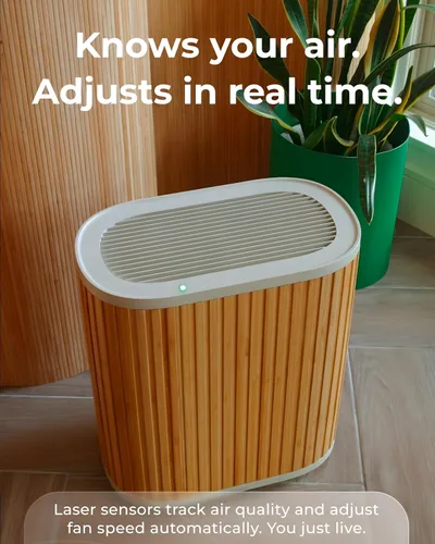 Miniatura 6 de Windmill Purificador de aire para el hogar - Filtración 3 en 1 para humo y más - Filtro HEPA verdadero, carbón activado y prefiltro - Cubre hasta