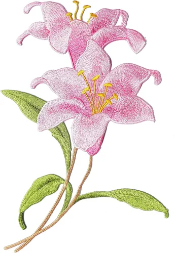Parches florales bordados para coser en ropa, chaquetas, sombreros, decoración de bricolaje (orquídea rosa)