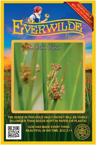 Everwilde Farms - 2000 semillas de césped nativo Path Rush - Paquete de semillas Gold Vault