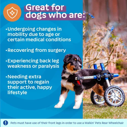 Miniatura 4 de Walkin' Wheels Silla de ruedas para perros pequeños, silla de ruedas ligera para patas traseras, 11-14 libras, para 3-6 pulgadas de altura de Azul