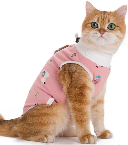Traje de recuperación para gatos, enterizo para gatos después de la cirugía, esterilización quirúrgica, heridas abdominales, enfermedades de la