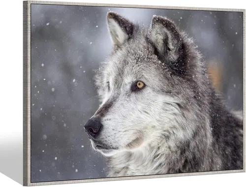Miniatura 13 de Sea Whisper - Lienzo de arte de pared de vida silvestre, lobo en la hierba con ojos firmes, naturaleza, bosque, escena de parque, pintura artística