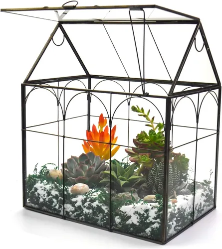 Vidrio de terrario para invernadero de plantas grandes y altas con tapa, 8.7 x 5.9 x 10.6 pulgadas, kit de terrario de cactus suculentos para