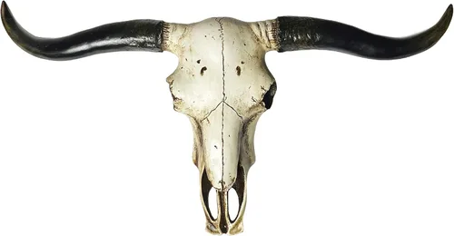 Miniatura 9 de Urbalabs - Escultura de pared de cuernos de calavera de cuerno largo de Texas, animales de taxidermia sintética, decoración de pared occidental