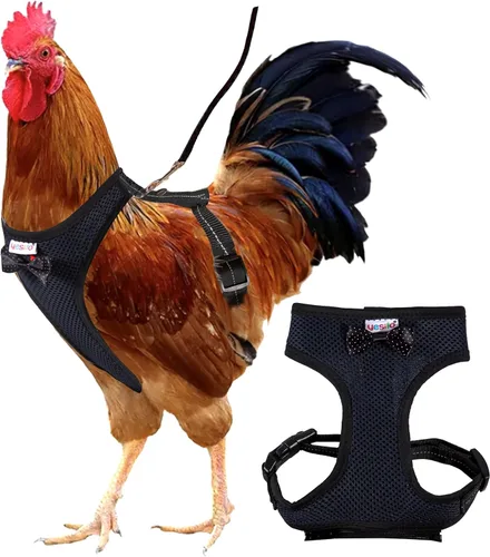 Miniatura 9 de Pañal de arnés de pollo ajustable (correa de 5.4 pies), transpirable y lavable, entrenamiento seguro para gallinas, patos y pollitos Solución