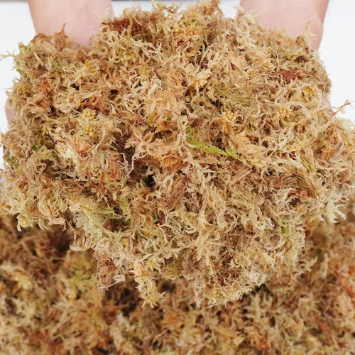 Miniatura 5 de 5oz de musgo sphagnum para propagación de plantas, excelente mezcla para macetas de orquídeas, ayuda a mantener la humedad