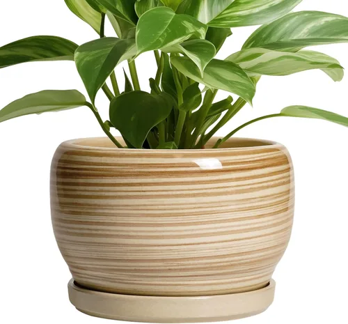Miniatura 34 de SQOWL Macetas de cerámica – Maceta de 6 pulgadas con orificio de drenaje y bandeja, maceta redonda para plantas de interior, maceta decorativa