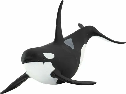 Miniatura 7 de Safari Ltd. Figura de orca Wild Safari Sea Life - Figura realista de modelo de ballena asesina de 6 pulgadas, juguete educativo para niños y niñas a