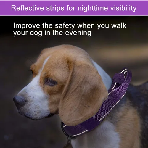 Miniatura 5 de Collar reflectante para perro táctico resistente con mango de control y hebilla de metal para entrenamiento de perros (M, morado)