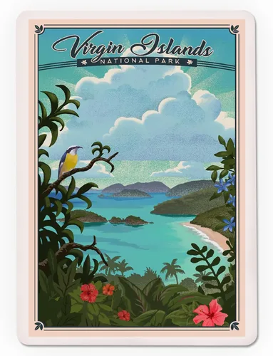 Miniatura 3 de Lantern Press Parque Nacional de las Islas Vírgenes, Litografía (52 cartas de juego, baraja de cartas de tamaño póker con comodines)