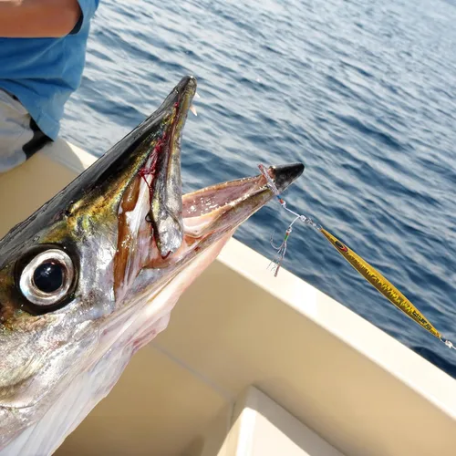 Miniatura 7 de Goture Plantillas verticales de pesca de 5 piezas, agua salada, luminosa y lenta jigging con plantillas verticales de plomo láser de importación