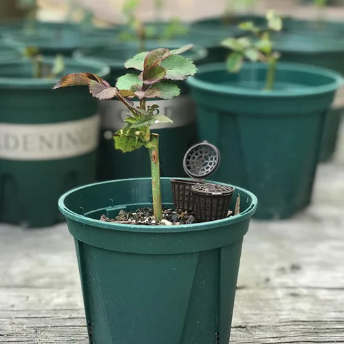 Miniatura 9 de Happyyami Caja de fertilizante para bonsái con tapa, contenedor de fertilizante para plantas de interior, soporte portátil para bonsái suculentas