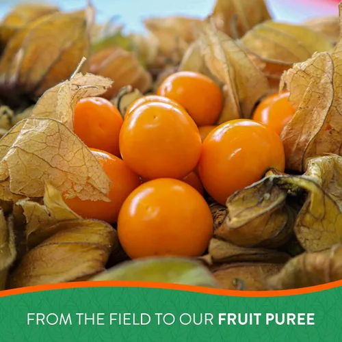 Miniatura 8 de FRUTA DEL PACÍFICO - Jugo de mora dorada - Jugo de Physalis - Puré de bayas doradas - 100% VERDANA LISTA PARA USAR PARA SUS BEBIDAS - 100% FRUTA