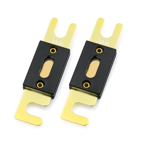 Baomain Paquete de 2 fusibles ANL de 300 A a granel con terminales chapados en oro para audio de automóvil, amplificador, camión, barco, RV,