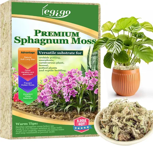 Miniatura 9 de Legigo 100 g de musgo natural esfagno para plantas, mezcla para macetas de orquídea de fibra larga 4QT, musgo esfagno seco para plantas