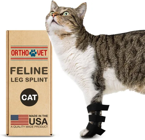 Soporte estándar de pierna de gato para lesiones o artritis, ligero y duradero, soporte de pierna delantera para gato, protección poscirugía para